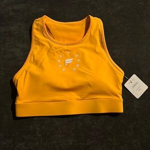 Fabletics Sports Bra